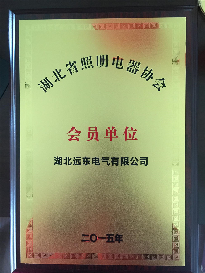 遠(yuǎn)東電氣——湖北省照明電器協(xié)會(huì)會(huì)員單位