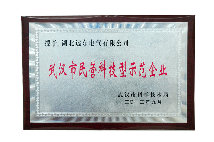 武漢市民營科技型示范企業(yè)