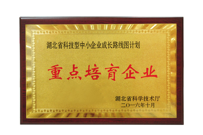 湖北省科技型中小企業(yè)成長路線圖計(jì)劃 重點(diǎn)培育企業(yè)